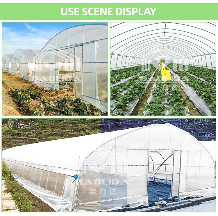 Polytunel Kit 10x50m Polytunnel Berry Poly High Tunnel Greenhouse Film Tunnel ...