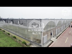 Sistem Hidroponik Pertanian Tomat Film Plastik Rumah Kaca 3-5m