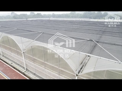 Multi-Span Venlo PC Sheet Polycarbonate Tunnel Greenhouse Black Out Light Dep