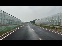 Proyek Rumah Kaca Kaca