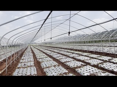 Sistem Pemupukan Irigasi Pertanian Tetes PVC ABS 40m Kapasitas 0-70L