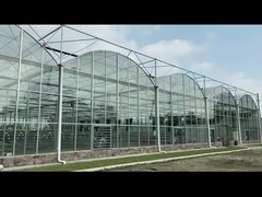 Multi-Span Venlo PC Sheet Polycarbonate Tunnel Greenhouse Black Out Light Dep