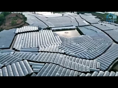 Beban Angin 0,4KN / M2 Terowongan Tunggal Film Plastik Rumah Kaca Lebar 8m / 9m / 10m