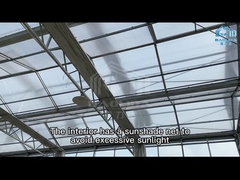 Sistem Hidroponik Pertanian Multi-Span Venlo Glass Greenhouse Disesuaikan