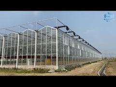 Vegetable Venlo Glass Greenhouse Fully Automated Ventilation