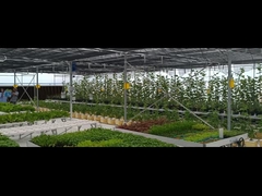 Rumah kaca multi-span dengan peralatan penanaman pertanian lengkap