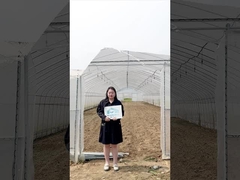 Tingkatkan Pertanian Anda dengan Rumah Kaca Terowongan BAOLIDA!