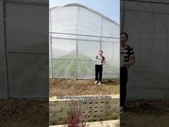 Ingin tumbuh lebih besar, tanaman yang lebih baik sepanjang tahun?