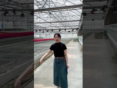 Nursery Seedbed 4x8 Flood Trays Tables Movable Rolling Bench Greenhouse Table System Cultivation