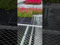 Tanah Tumbuhan 4x8 Tray Banjir Meja Bangku Rolling Movable Sistem Tanam Meja Rumah Kaca