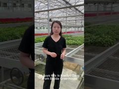 Aluminium Alloy ABS Clip On Bench Side Profile Greenhouse Rolling Tables W × L 4 × 8