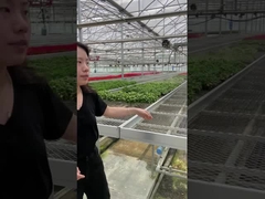 Tanaman Menumbuhkan Aksesoris Rumah Kaca 4'×8' 4'×10' Ebb And Flow Rolling Bench