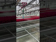 Multispan Metal Frame Venlo Glass Greenhouse With High Durability