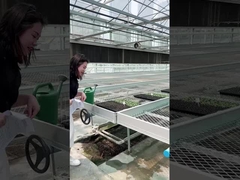 Sistem Pertanian Meja Rumah Kaca dengan Bangku Rolling yang Bisa Dipindahkan