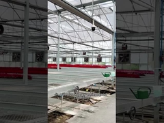 400mm 500mm 16 inci 20 inci Sistem Pendingin Rumah Kaca Kipas Sirkulasi Udara