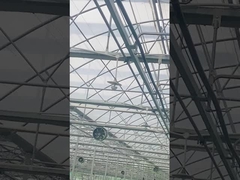 400mm 500mm 16 inci 20 inci Sistem Pendingin Rumah Kaca Kipas Sirkulasi Udara