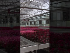 Rolling Grow Table (Table Pertumbuhan Bergulir)