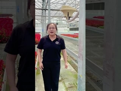 GPRS Dan 433M Stasiun Cuaca Rumah Kaca Nirkabel Lokal Sistem Kontrol Cerdas