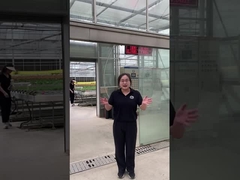 Rumah Kaca Multi-Span Untuk Bunga