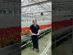 Meja Rolling Rumah Kaca