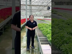 Aksesoris Rumah Kaca Plastik ABS Rumah Kaca Rolling Bench Penutup Film PEP