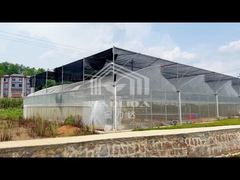 9x30 Tropical Green House Sawtooth Top Ventilation High Tunnel Greenhouse