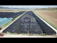 Rumah Kaca untuk Jamur