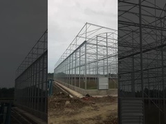 Perlindungan UV tenda rumah kaca Venlo tinggi disesuaikan