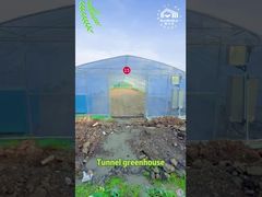 agricultural greenhouses