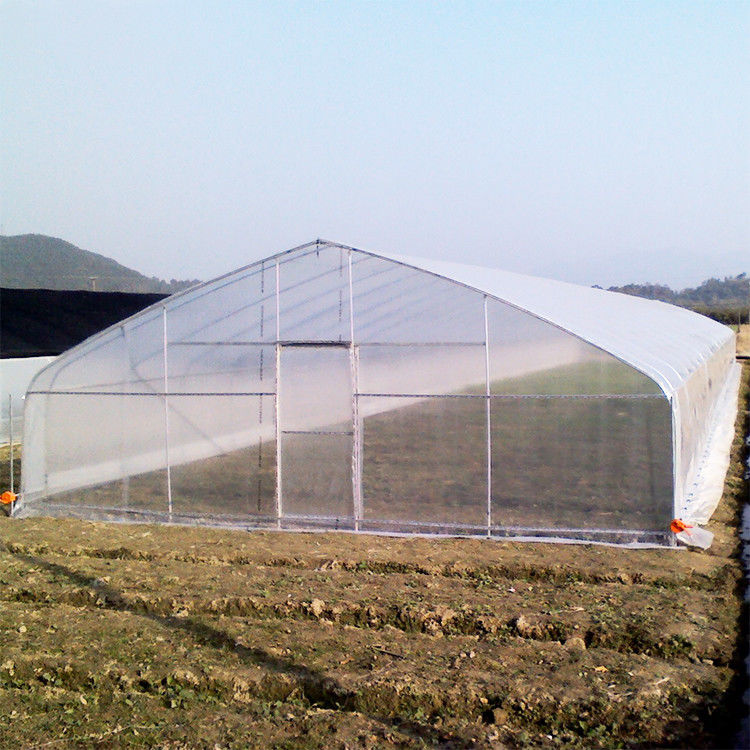 Easy Installation Garden Greenhouses With 3-5 Years Lifespan
