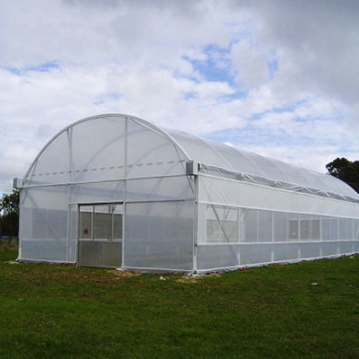 150 micro PE Film Greenhouse Ebb And Flow Rolling Bench Seedbed Greenhouse With Grow Tables