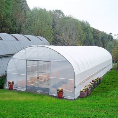 Sistema de cultivo hidropónico Túnel de un tramo Invernadero de película plástica Agrícola