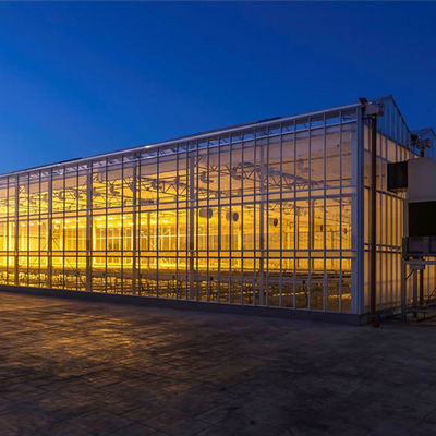 Venlo Glass Greenhouse Customizable Size 85km/h Wind Resistance