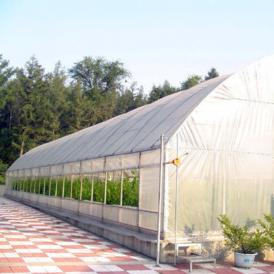 Metal Frame Tunnel Greenhouse With Ventilated Serre Agricole Plant Tunnel Greenhouse Increase Yield And Quality Cost-Effective