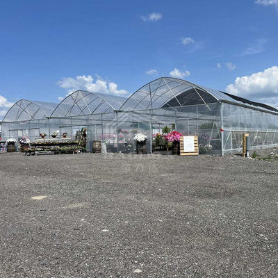Greenhouse Frame Structure Ventilated Serre Agricole Hoop House Greenhouse