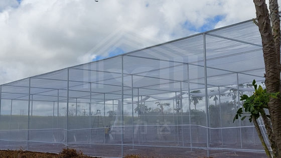 Rectangle Greenhouse with Full Ventilation and Temperature Control - High Grade Steel Frame
