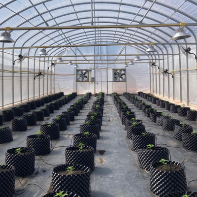 Hot Galvanized Steel Structure Tunnel Greenhouse For All-Season Farming Solutions