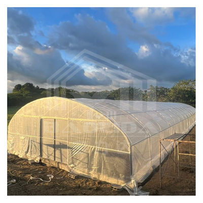 Metal Frame Tunnel Greenhouse With Ventilated Serre Agricole Plant Tunnel Greenhouse