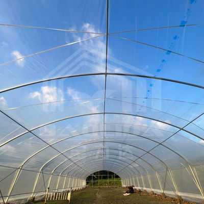 1.5 Distancia de la varilla del arco del metro invernaderos agrícolas para una eficiencia agrícola superior