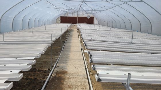 Greenhouse 200 micro PE Film Growing House Ventilated Serre Agricole Polytunnel Greenhouse