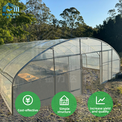PE Film Greenhouse Frame Structure Ventilated Serre Agricole Greenhouse