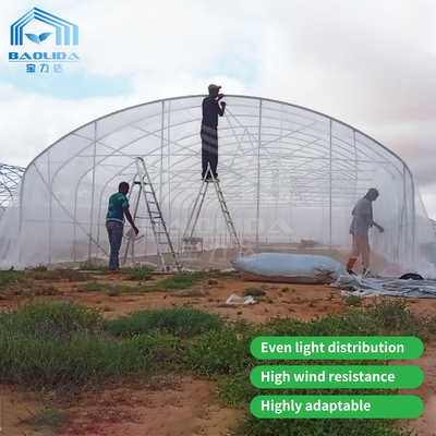 Baolida Tunnel Greenhouse Metal Frame Serre Agricole Plant Single Agricultural  Greenhouse