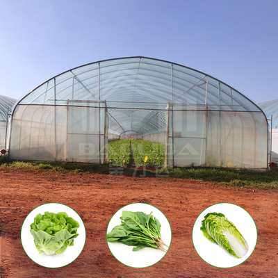 Serre Tropical Greenhouse for Sale Serre Agricole Film Greenhouse