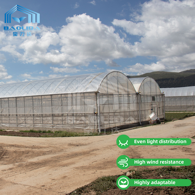Baolida Polycarbonate Greenhouse Metal Frame Serre Agricole Agricultural Greenhouse Film
