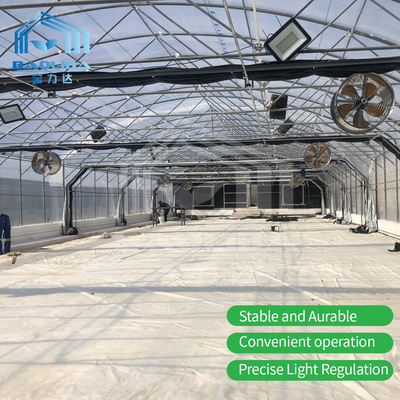 Baolida Automatic Blackout Greenhouse Light-Dep Greenhouse Mushroom
