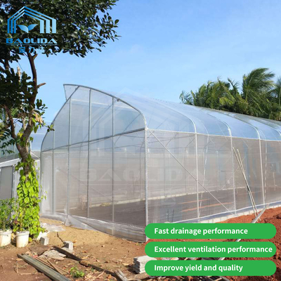 Baolida Sawtooth Greenhouse Cross Roof Agricultural Greenhouse Serre Agricole 