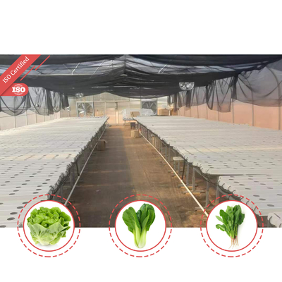 Single-Span Tunnel Greenhouse 6-10m Width with 150/200micron PE Film