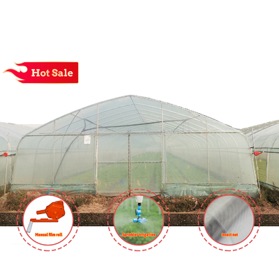 BAOLIDA Tunnel Greenhouse 8m Width 30m Length PE Film Cover
