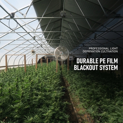 Θερμοκήπιο στέρησης αναπνεύσιμου φωτός 300 τετραγωνικών μέτρων με σύστημα συσκότισης